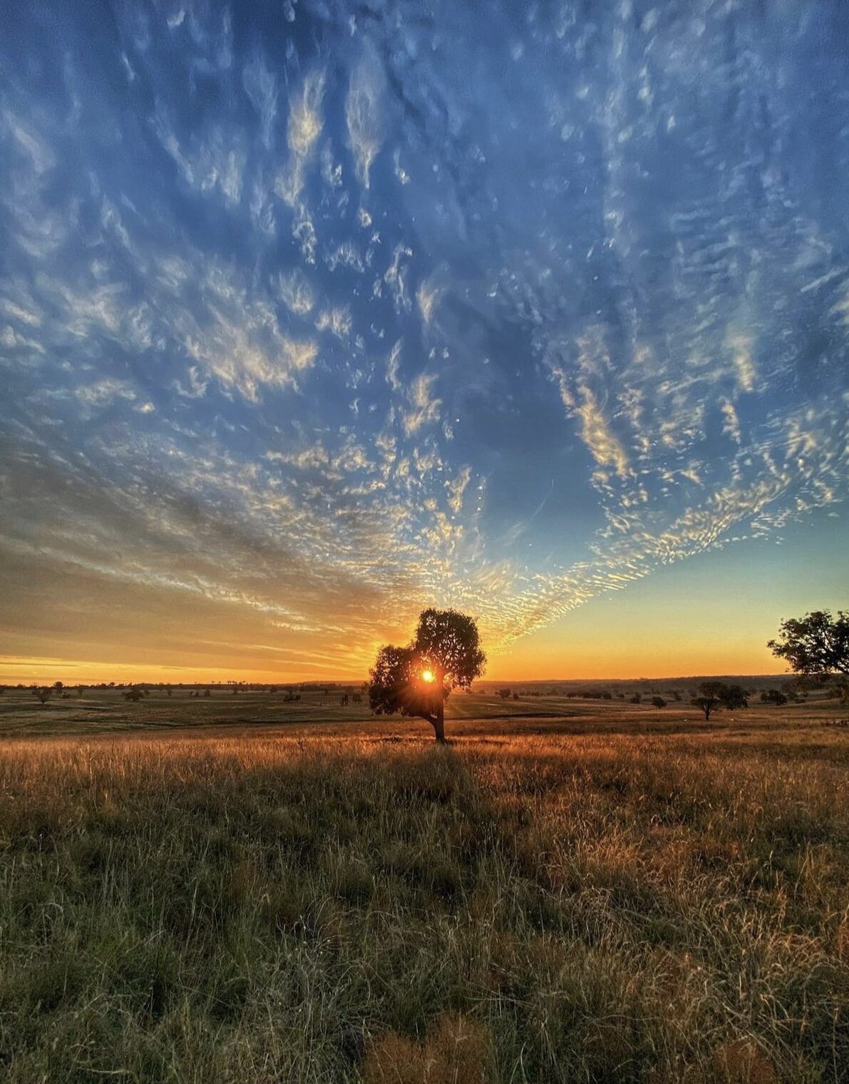 Central West NSW
